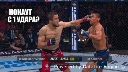 Смотреть онлайн Умар Нурмагомедов vs Марио Баутиста на UFC 321 в прямом live эфире